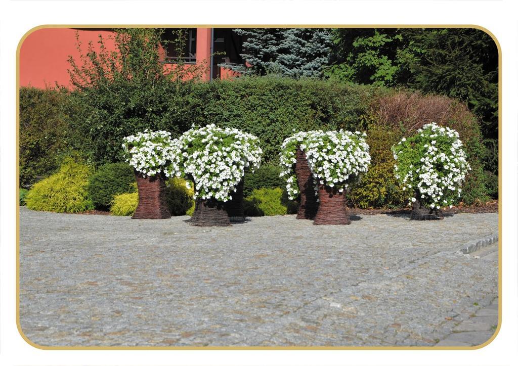 Agat Lodz (Lodz)